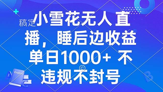 （13491期）小雪花无人直播 睡后收益单日1000+ 零粉丝新号开播 不违规 看完就会-网创空间