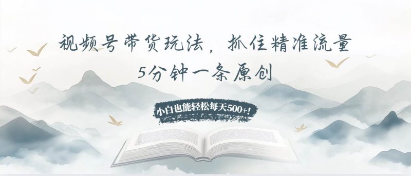 （13492期）视频号带货玩法，抓住精准流量，5分钟一条原创，小白也能轻松每天500+！-网创空间