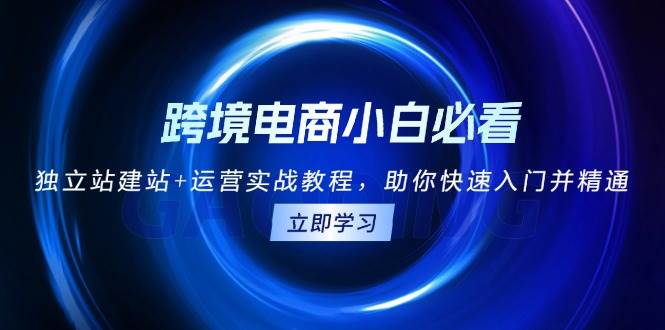 （13502期）跨境电商小白必看！独立站建站+运营实战教程，助你快速入门并精通-网创空间