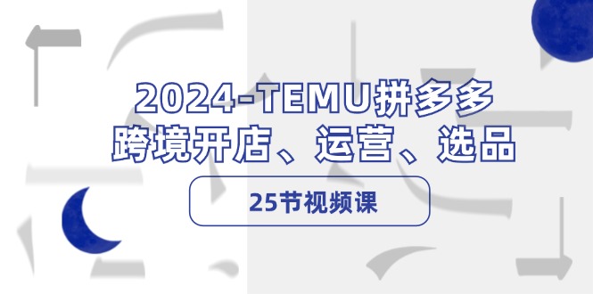 （12106期）2024-TEMU拼多多·跨境开店、运营、选品（25节视频课）-网创空间