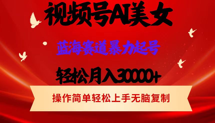 （12178期）视频号AI美女跳舞，轻松月入30000+，蓝海赛道，流量池巨大，起号猛，当…-网创空间