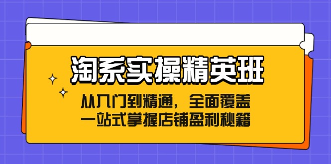 （12276期）淘系实操精英班：从入门到精通，全面覆盖，一站式掌握店铺盈利秘籍-网创空间