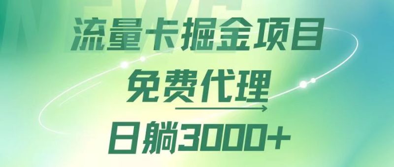 （12321期）流量卡掘金代理，日躺赚3000+，变现暴力，多种推广途径-网创空间