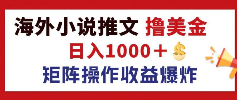 (12333期)最新海外小说推文撸美金,日入1000+ 蓝海市场,矩阵放大收益爆炸-网创空间