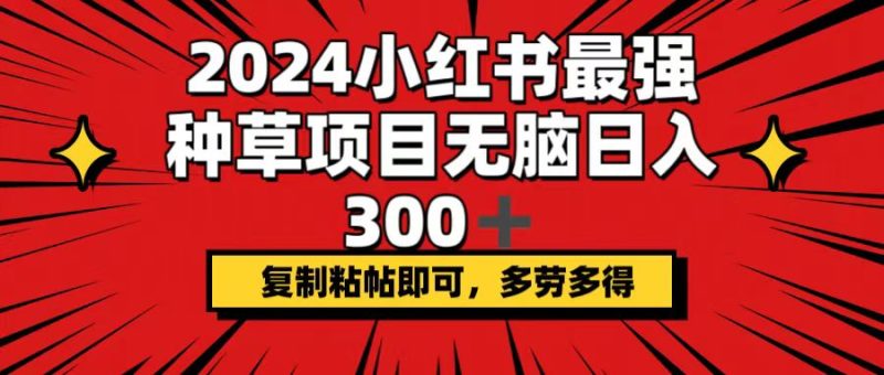 （12336期）2024小红书最强种草项目，无脑日入300+，复制粘帖即可，多劳多得-网创空间