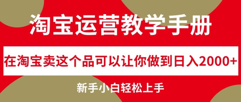 （12351期）淘宝运营教学手册，在淘宝卖这个品可以让你做到日入2000+，新手小白轻…-网创空间