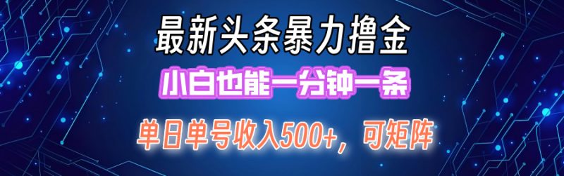 （12380期）最新暴力头条掘金日入500+，矩阵操作日入2000+ ，小白也能轻松上手！-网创空间