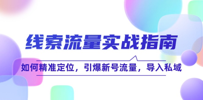 （12382期）线 索 流 量-实战指南：如何精准定位，引爆新号流量，导入私域-网创空间