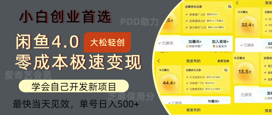 （12434期）闲鱼0成本极速变现项目，多种变现方式 单号日入500+最新玩法-网创空间