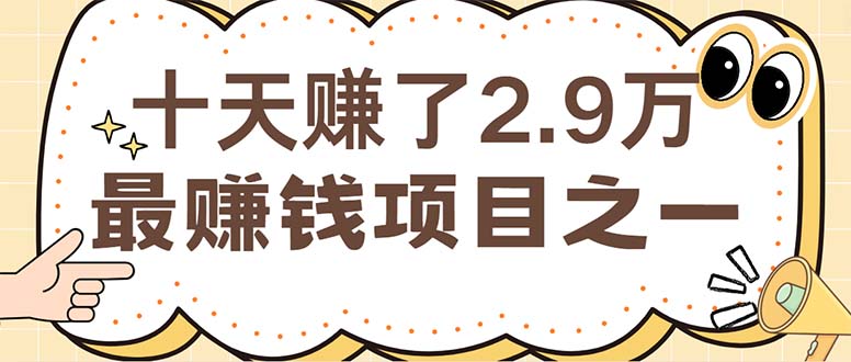 （12491期）闲鱼小红书赚钱项目之一，轻松月入6万+项目-网创空间