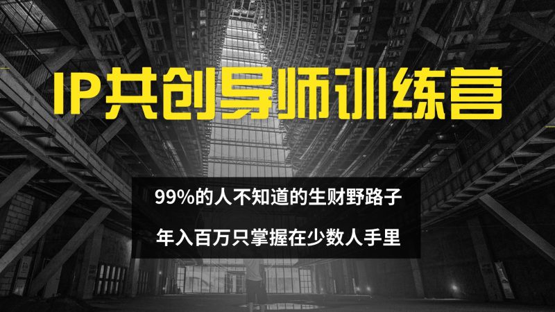（12504期）IP共创导师训练营 99%的人不知道的生财野路子 只掌握在少数人手里-网创空间