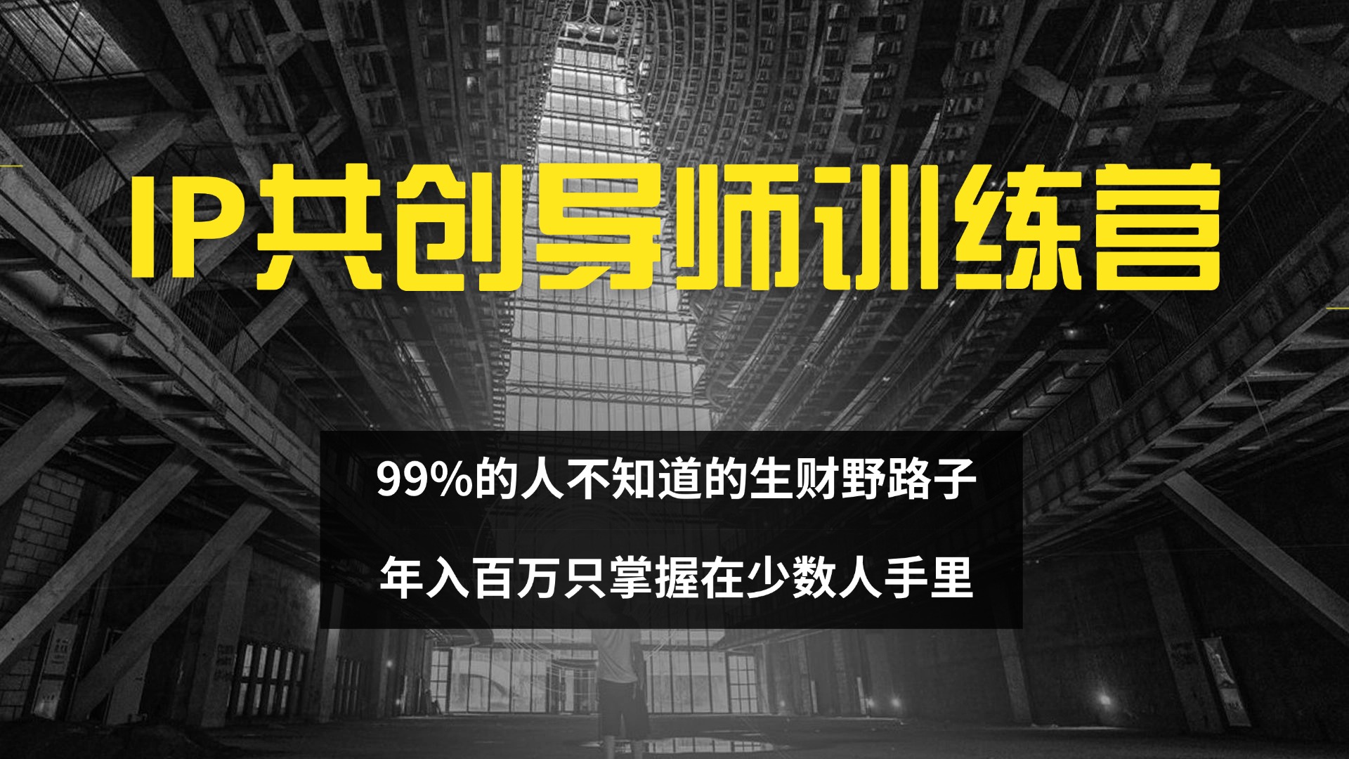 （12504期）IP共创导师训练营 99%的人不知道的生财野路子 只掌握在少数人手里-网创空间
