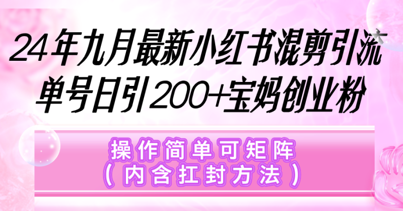 （12530期）小红书混剪引流，单号日引200+宝妈创业粉，操作简单可矩阵（内含扛封…-网创空间