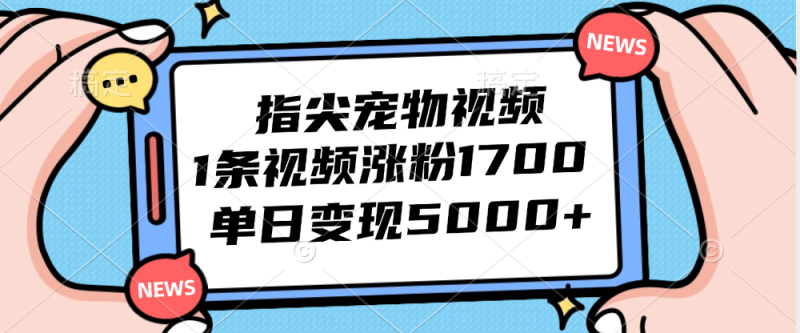 (12549期)指尖宠物视频,1条视频涨粉1700,单日变现5000+-网创空间