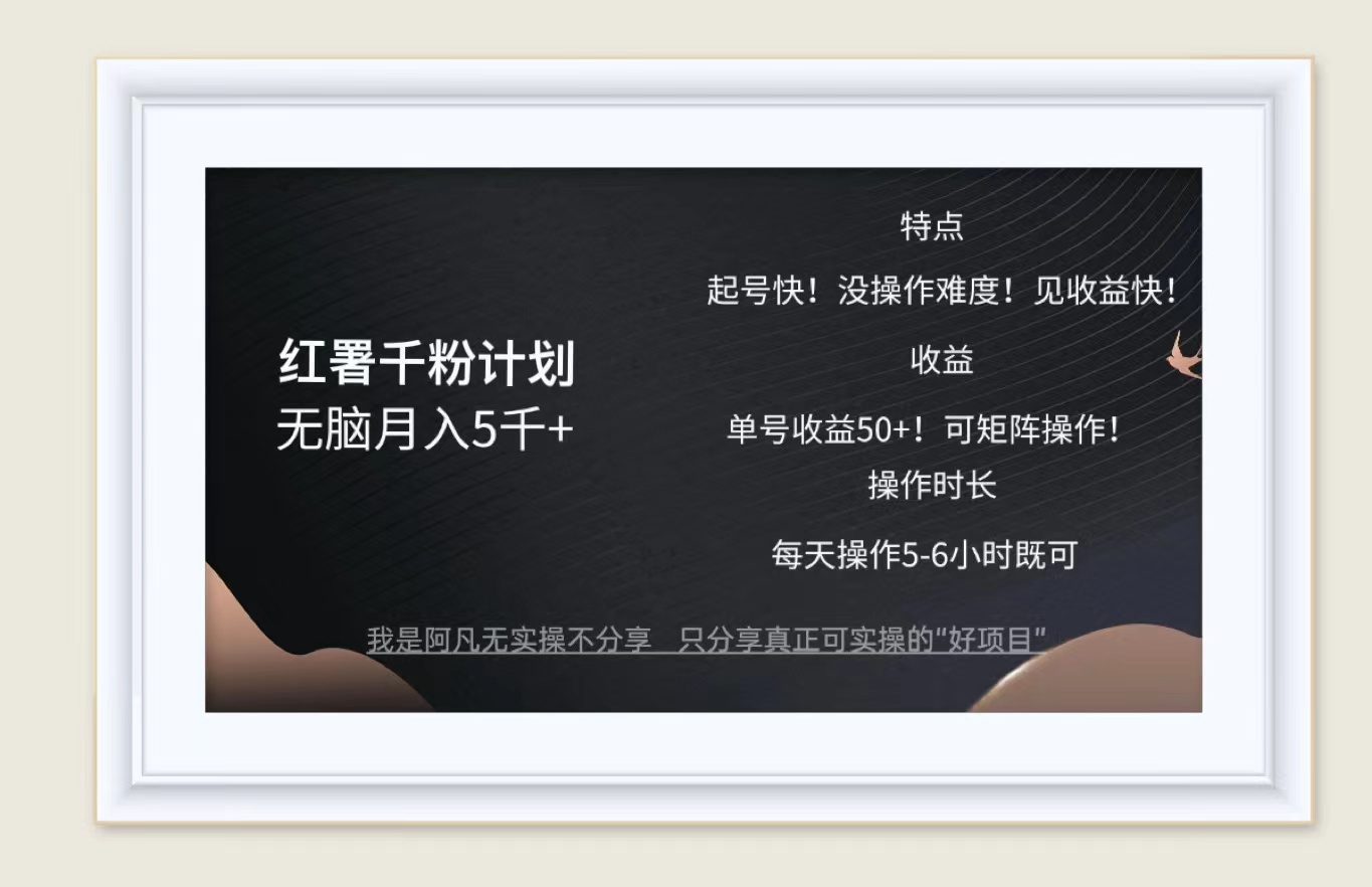（12560期）红薯千粉计划无脑月入5千+！既做既赚！-网创空间