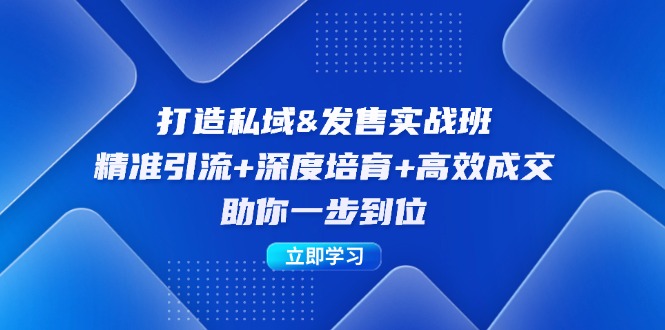 打造私域&发售实操班：精准引流+深度培育+高效成交，助你一步到位-网创空间