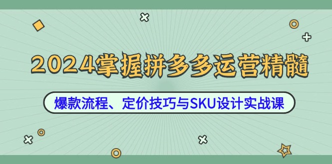 2024掌握拼多多运营精髓：爆款流程、定价技巧与SKU设计实战课-网创空间