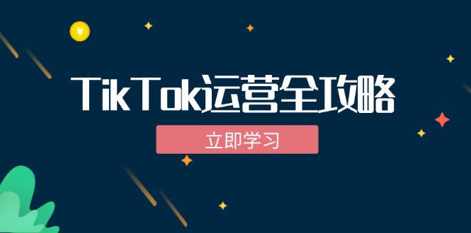 TikTok实战运营全攻略：从下载软件到变现，抖音海外版实操教程-网创空间
