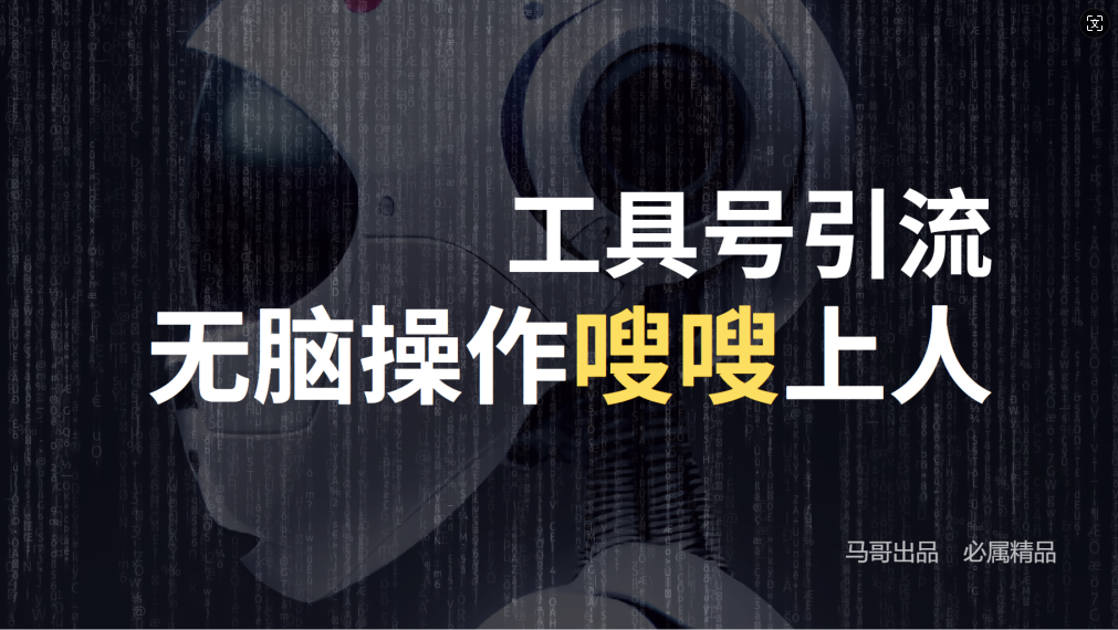 24年抖音最新工具号日引流300+创业粉，日入5000+-网创空间