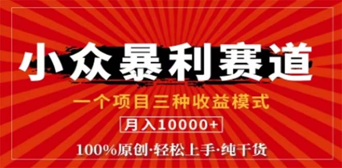 视频号最新爆火赛道，三种可收益模式，0粉新号条条原创条条热门 日入1000+-网创空间