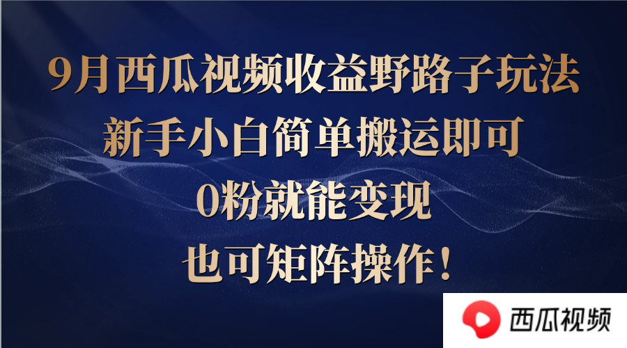 西瓜视频收益野路子玩法，新手小白简单搬运即可，0粉就能变现，也可矩…-网创空间