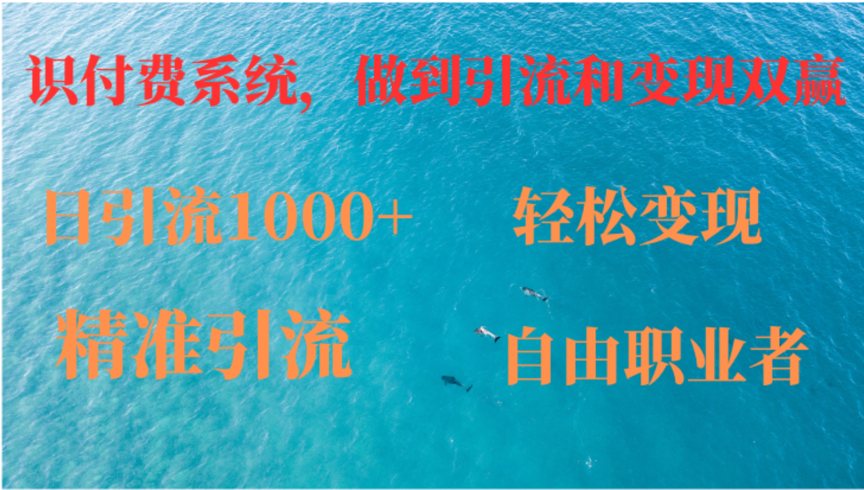 如何搭建自己的知识付费系统，做到引流和变现双赢-网创空间