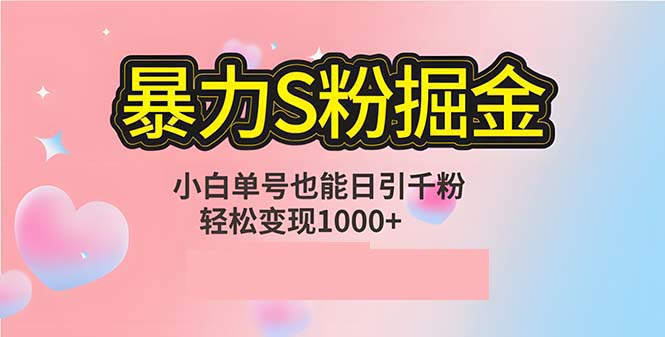 单人单机日引千粉，变现1000+，S粉流量掘金计划攻略-网创空间