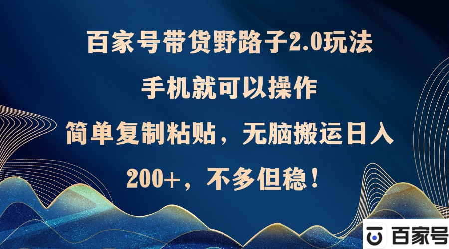 （12804期）百家号带货野路子2.0玩法，手机就可以操作，简单复制粘贴，无脑搬运日…-网创空间