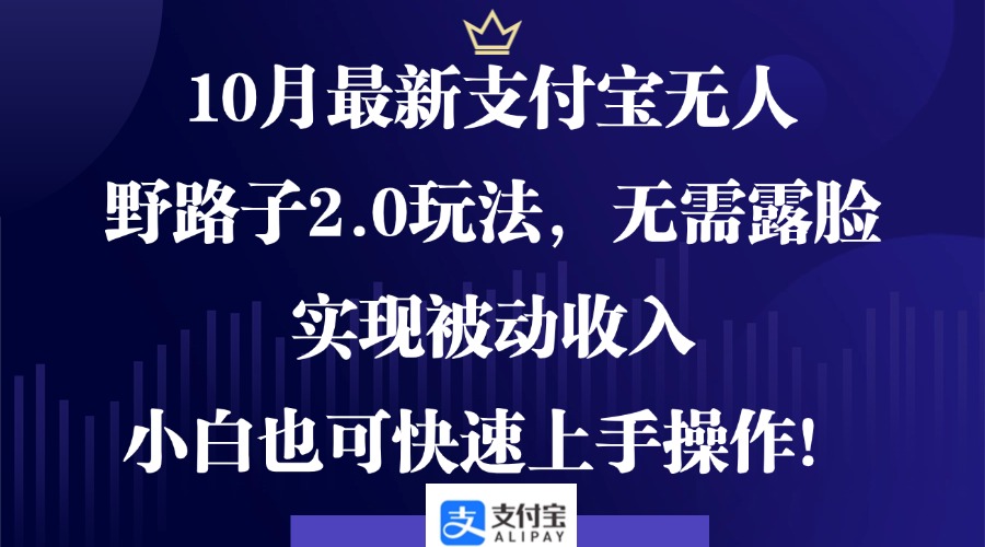 （12824期）10月最新支付宝无人野路子2.0玩法，无需露脸，实现被动收入，小白也可…-网创空间