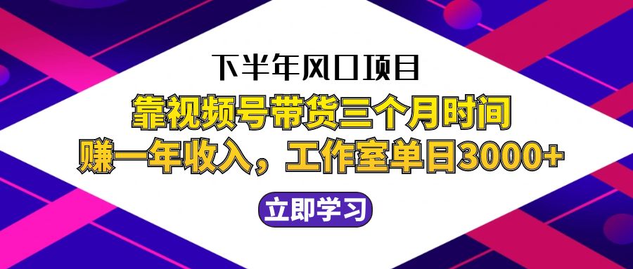 （12849期）下半年风口项目，靠视频号带货三个月时间赚一年收入，工作室实测单日3…-网创空间