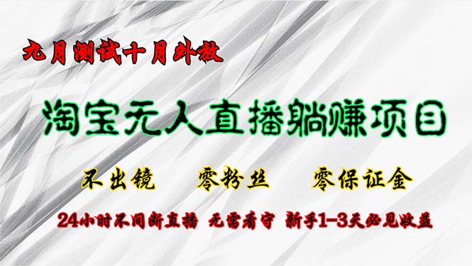 （12862期）淘宝无人直播最新玩法，九月测试十月外放，不出镜零粉丝零保证金，24小…-网创空间
