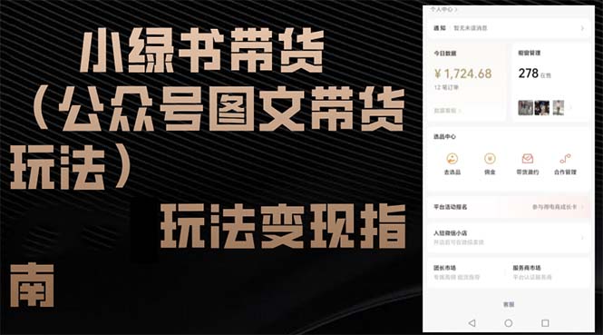 （12902期）小绿书带货（公众号图文带货玩法）玩法变现指南-网创空间