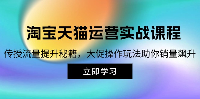 （12959期）淘宝&天猫运营实战课程，传授流量提升秘籍，大促操作玩法助你销量飙升-网创空间