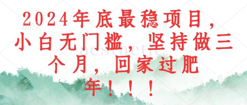 (12970期)2024年底最稳项目,小白无门槛,坚持做三个月,回家过肥年!!!-网创空间