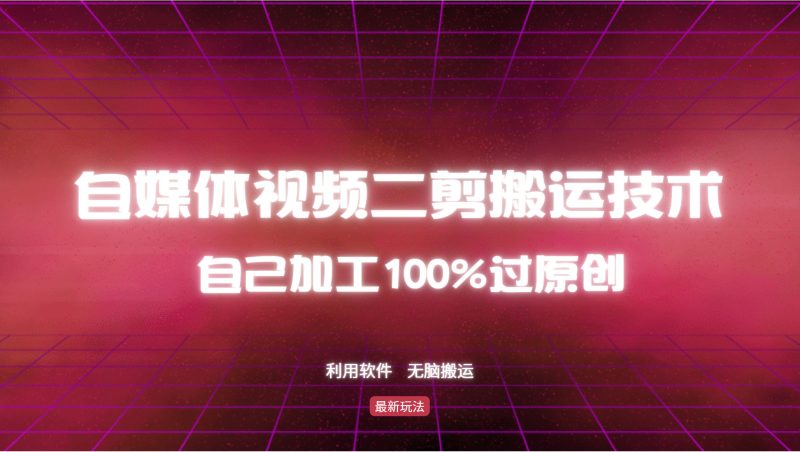 （12995期）详细教你自媒体视频二剪搬运技术，自己加工100%过原创，无脑搬运-网创空间