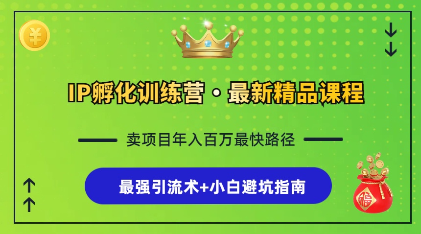 （13055期）IP孵化训练营，知识付费全流程+最强引流术+小白避坑指南-网创空间