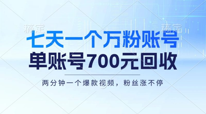 (13062期)七天一个万粉账号,新手小白秒上手,单账号回收700元,轻松月入三万+-网创空间