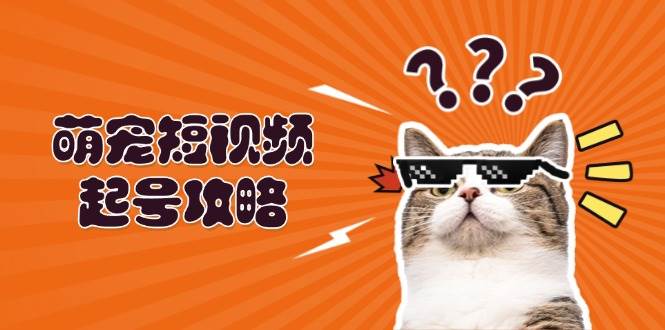 （13135期）萌宠-短视频起号攻略：定位搭建推流全解析，助力新手轻松打造爆款-网创空间