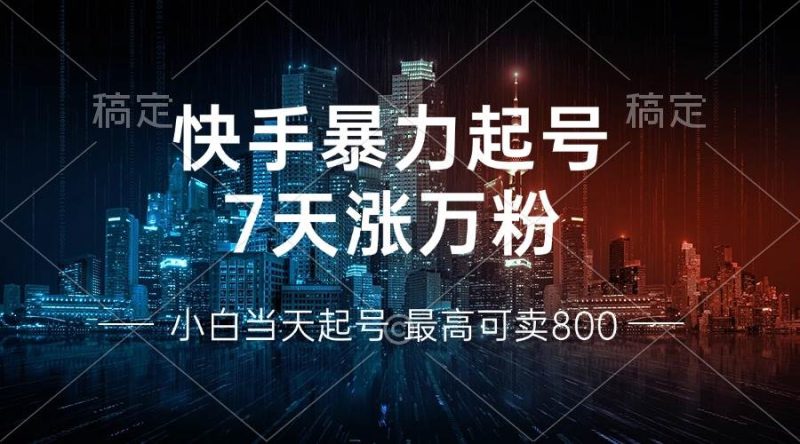 （13142期）快手暴力起号，7天涨万粉，小白当天起号 多种变现方式，账号回收，单月…-网创空间