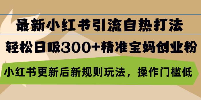 （13145期）最新小红书引流自热打法，轻松日吸300+精准宝妈创业粉，小红书更新后新…-网创空间
