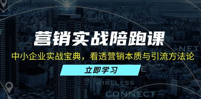 （13146期）营销实战陪跑课：中小企业实战宝典，看透营销本质与引流方法论-网创空间
