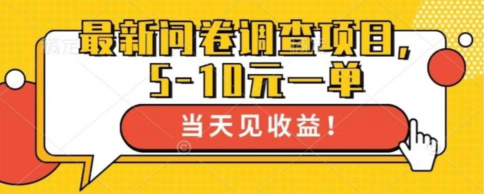 （13167期）最新问卷调查项目，单日零撸100＋-网创空间