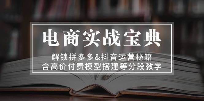 （13195期）电商实战宝典 解锁拼多多&抖音运营秘籍 含高价付费模型搭建等分段教学-网创空间
