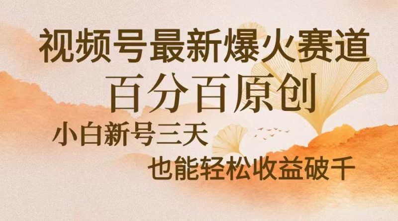 (13225期)视频号最新爆火赛道,中老年粉深信不疑,百分百原创,新号三天收益轻松…-网创空间