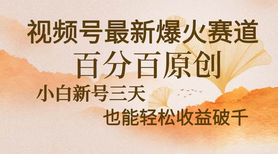 （13225期）视频号最新爆火赛道，中老年粉深信不疑，百分百原创，新号三天收益轻松…-网创空间