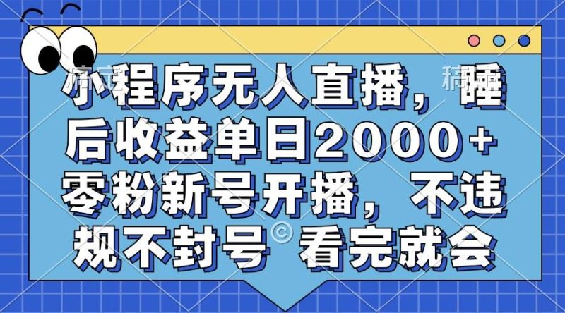 （13251期）小程序无人直播，睡后收益单日2000+ 零粉新号开播，不违规不封号 看完就会-网创空间