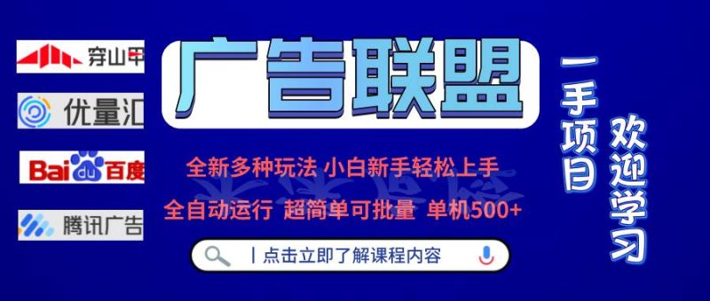 （13258期）广告联盟 全新多种玩法 单机500+  全自动运行  可批量运行-网创空间