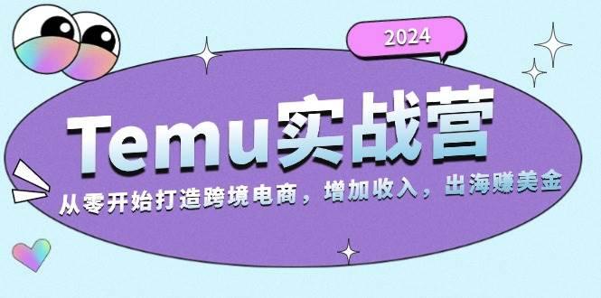 （13266期）2024Temu实战营：从零开始打造跨境电商，增加收入，出海赚美金-网创空间