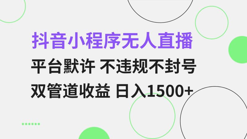 （13276期）抖音小程序无人直播 平台默许 不违规不封号 双管道收益 日入1500+ 小白…-网创空间