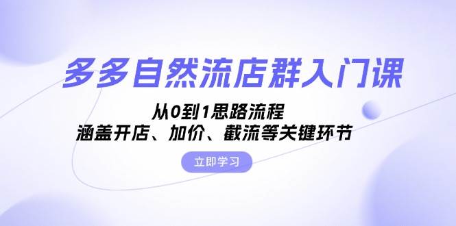 （13279期）多多自然流店群入门课，从0到1思路流程，涵盖开店、加价、截流等关键环节-网创空间